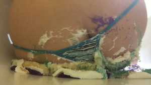 mellisa-cake-sitting_3.jpg